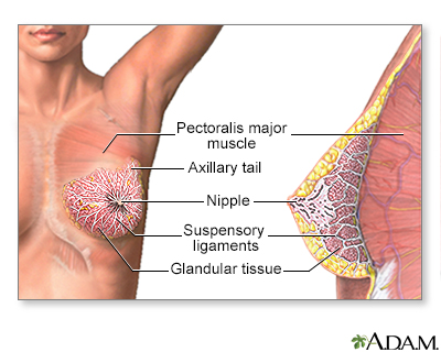 What does anadrol do