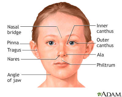 micrognathia face definition anatomy term normal syndrome parts lower down