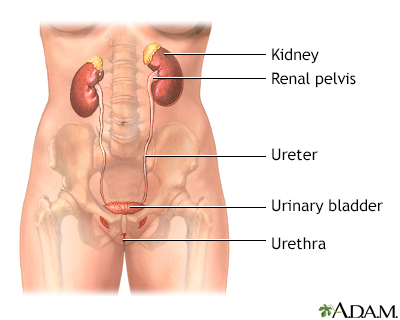 Difficulty Urinating