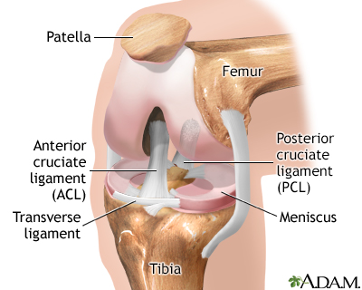 What Is Involved In Scoping A Knee