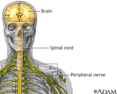 Peripheral neuropathy