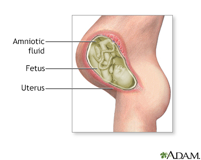 amniotic fluid weeks 40 how much Amniotic fluid