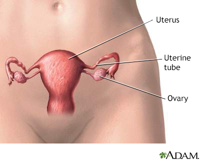 Lower Abdominal Pain On Right Side During Ovulation