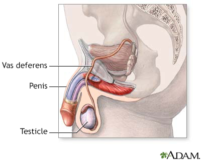 Male orgasm no ejaculation not physical